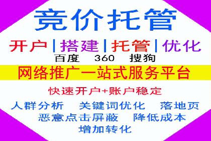 某公司通过竞价SEM优化搜索引擎排名案例